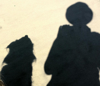 MJ walks her dog on the windy beach testimonial